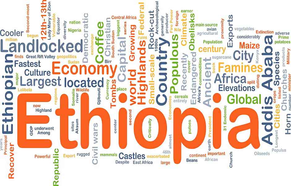 A new political economy for Ethiopia – Abate Kassa